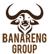 Banareng Group Logo
